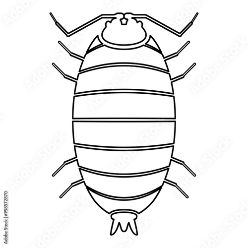 Roly poly woodlouse porcellio scaber woodruff contour outline line icon black color vector illustration image thin flat style photo