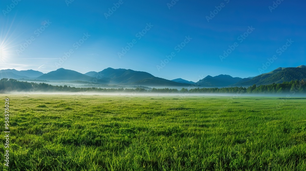 Fototapeta premium Serene Morning Landscape