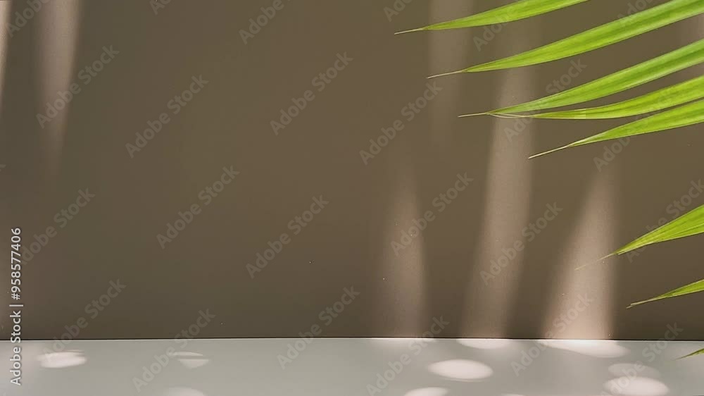 A minimalist empty room with a warm brown wall and softly moving shadows of leaves, blending nature with design.

