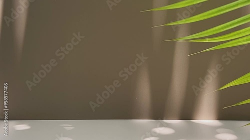 A minimalist empty room with a warm brown wall and softly moving shadows of leaves, blending nature with design.
