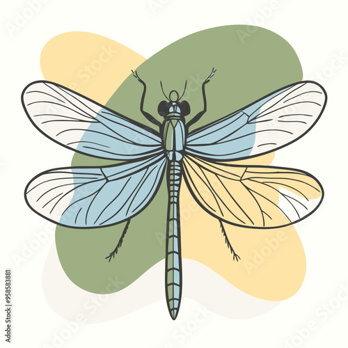 dragonfly cartoon vector illustration