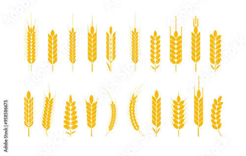 Wheat and rye logo ears. Barley rice grains and elements for beer or organic agricultural food. Vector