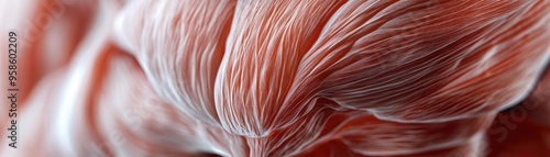 Close-up of intricate muscle fibers showcasing texture and detail. Ideal for health, fitness, and anatomy-related projects.