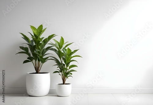 Two potted plants with green leaves on a white wall background.