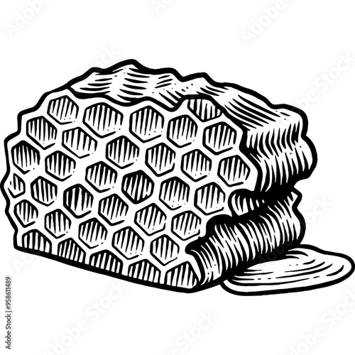 Hand drawn Honeycomb Sketch Illustration Engraving Woodcut Vintage Style Vector Line Art