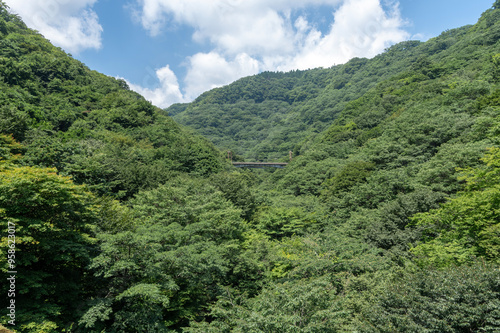  山の中を通る電車の線路