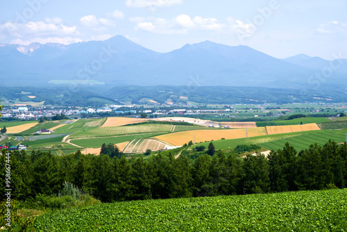 日本,北海道,富良野,千望峠の風景