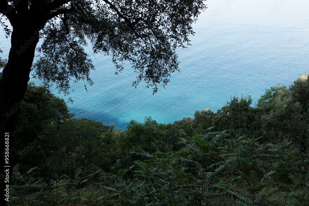 Obraz premium Mediterraneo