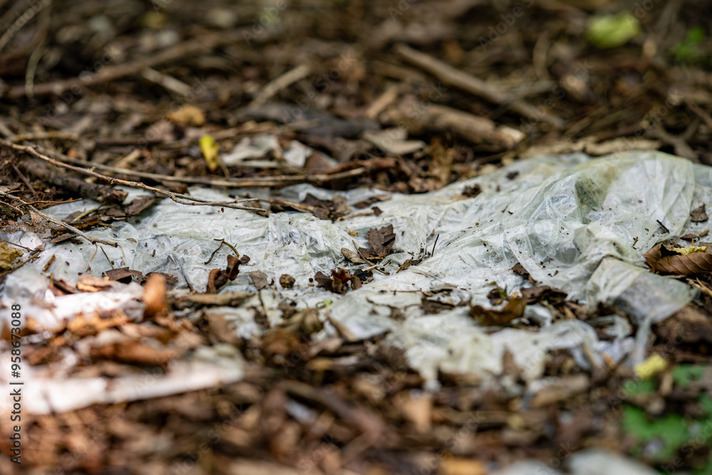 White plastic bag thrown in the forest. White plastic bag thrown in the forest.