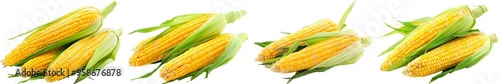 Corn cobs in corn isolated on white background. Generative AI.