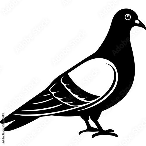 Pigeon vector design on a white background photo