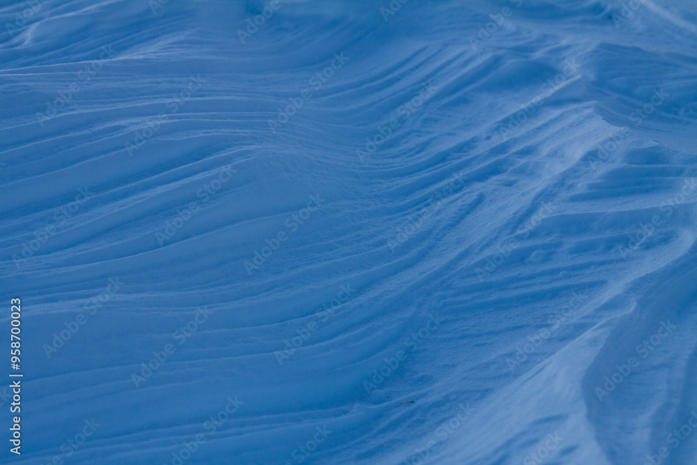 Obraz premium Détails neige