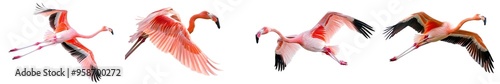 Flying pink flamingo isolated on white background. Generative AI. photo