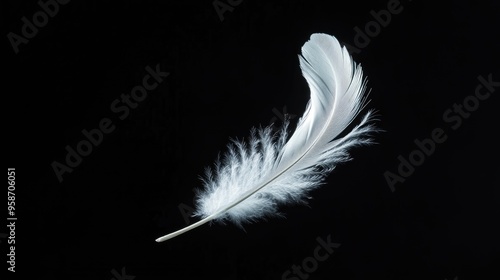 Elegant white feather gently floating against a deep black background, creating a dramatic and serene effect