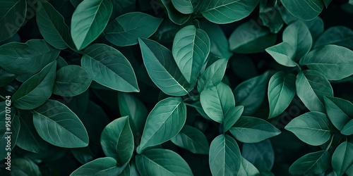 A close-up of numerous lush green leaves, filling the entire frame, epitomizing natural beauty and freshness.