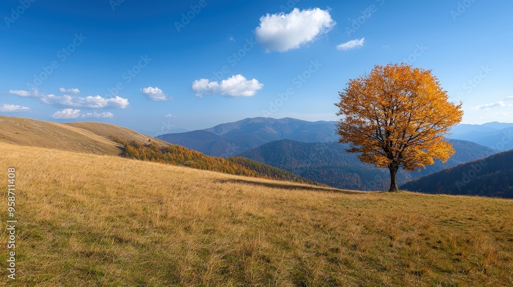 Obraz premium Crisp autumn day in the mountains, showcasing a vibrant landscape of colorful foliage and clear skies 