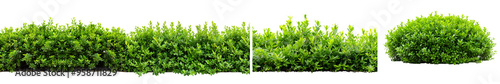 green garden bushes isolated on white background. Generative AI.