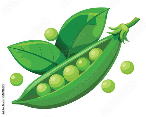 Fresh Peas Vegetable vector illustration