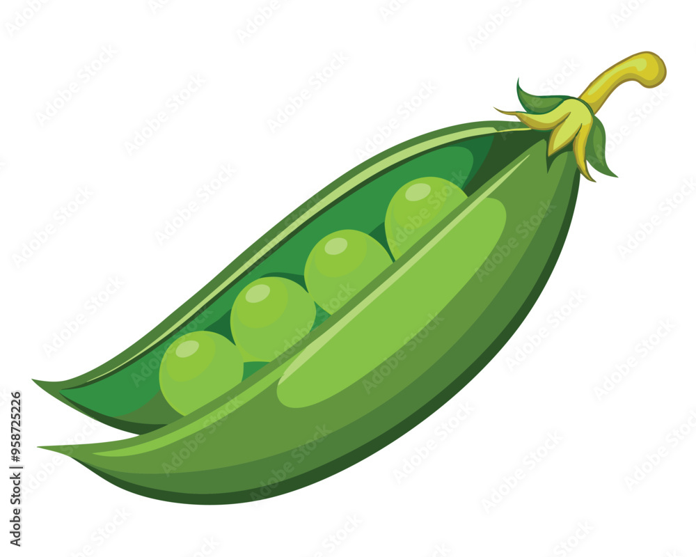 Fresh Peas Vegetable vector illustration Fresh Peas Vegetable vector illustration