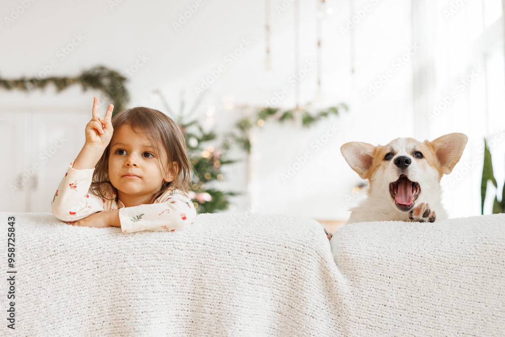 Φωτογραφία Portrait of adorable, happy smiling dog of the corgi breed
