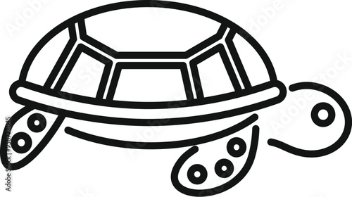 Simple line drawing of a turtle walking slowly to the right of the frame