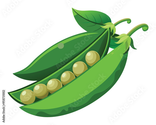 Fresh Peas Vegetable vector illustration