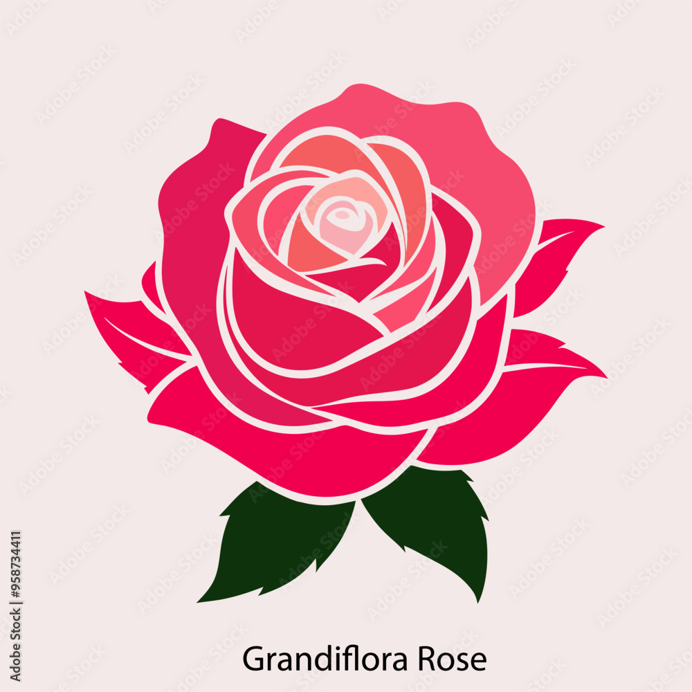 Vibrant Grandiflora Rose in Full Bloom Elegant Pink Grandiflora Rose with Dew Drops Vibrant Grandiflora Rose in Full Bloom Elegant Pink Grandiflora Rose with Dew Drops