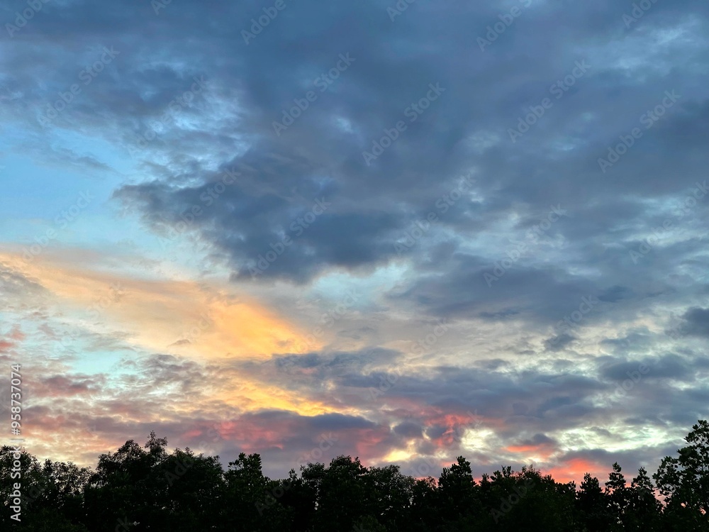 Obraz premium Silhouette of tree and sky background.copy space. Beautiful colorful sky and cloud in twilight time background