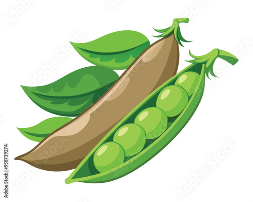 Fresh Peas Vegetable vector illustration