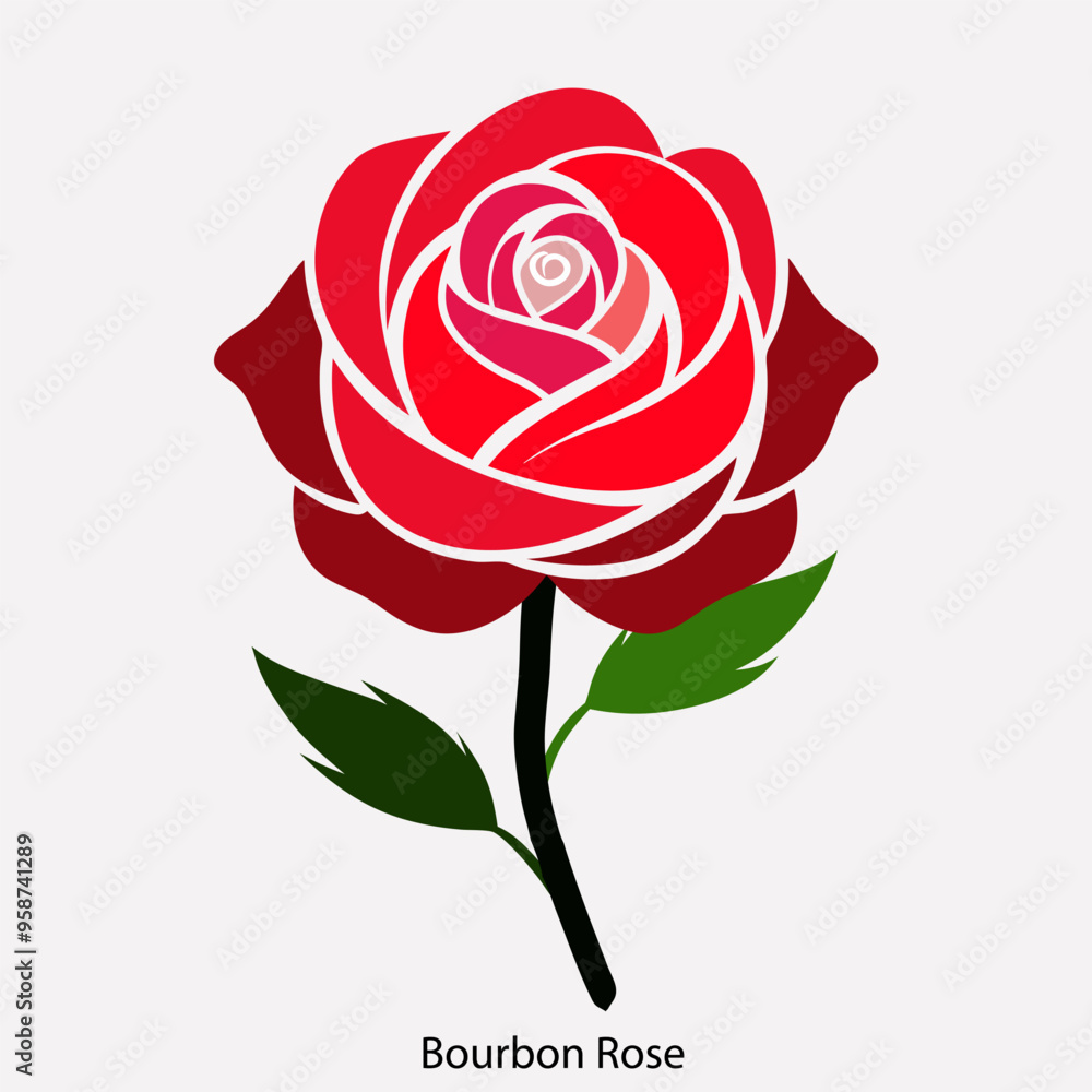 Vibrant bourbon Rose in Full Bloom Elegant Pink bourbon Rose with Dew Drops Vibrant bourbon Rose in Full Bloom Elegant Pink bourbon Rose with Dew Drops