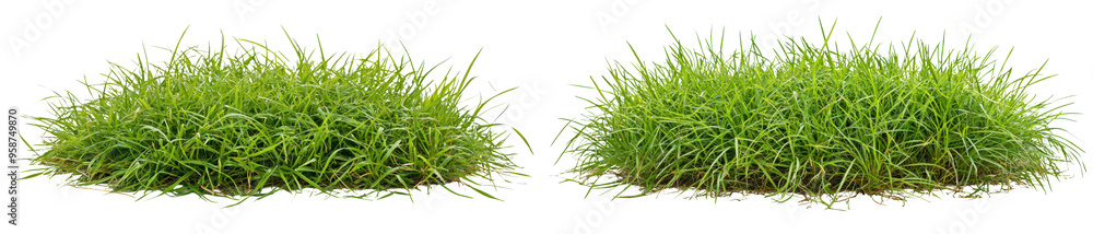 Green grass patches ideal for landscaping, gardening isolate on transparent background, cutout, png Green grass patches ideal for landscaping, gardening isolate on transparent background, cutout, png