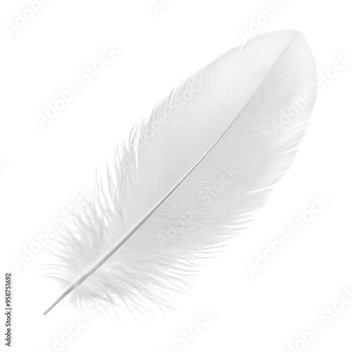 white feather isolated on transparent background cutout photo