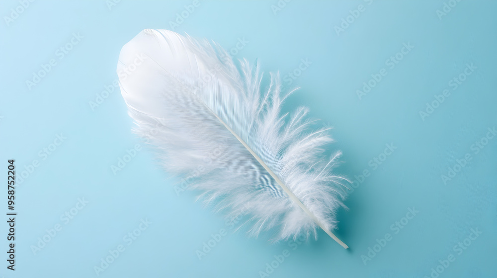 Obraz premium A fluffy white feather on a blank background