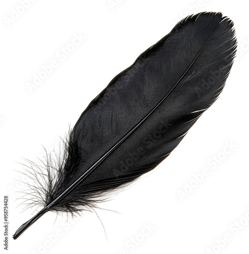 Elegant black feather lying on a white surface, cut out - stock png. photo