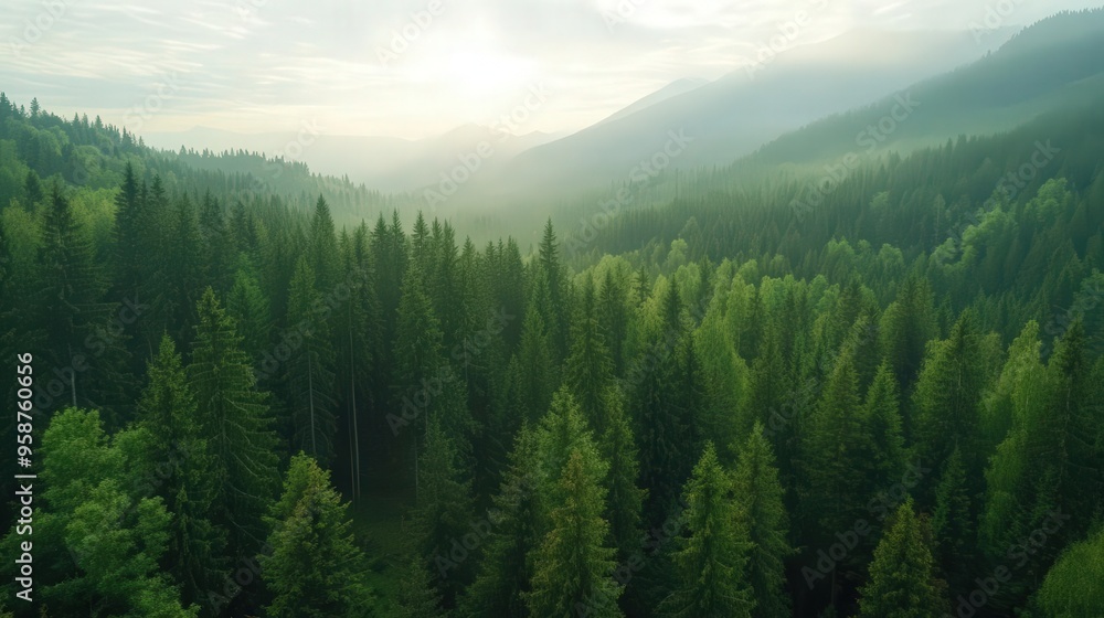 Breathtaking aerial view of lush green forest and tranquil mountains under soft sunlight. Perfect for nature lovers and travelers. Breathtaking aerial view of lush green forest and tranquil mountains under soft sunlight. Perfect for nature lovers and travelers.