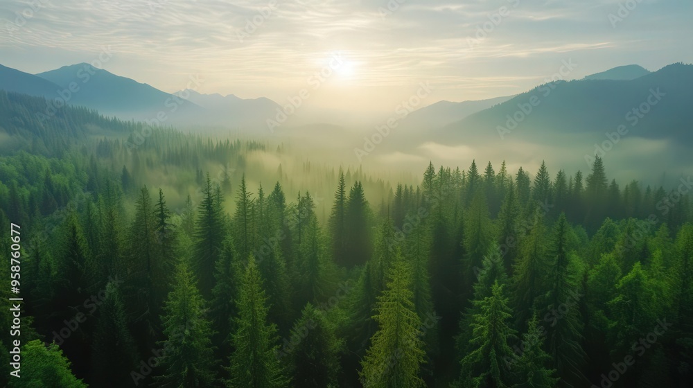 A tranquil sunrise over a lush forest, with mist rising among the towering trees, showcasing the beauty of nature's harmony. A tranquil sunrise over a lush forest, with mist rising among the towering trees, showcasing the beauty of nature's harmony.