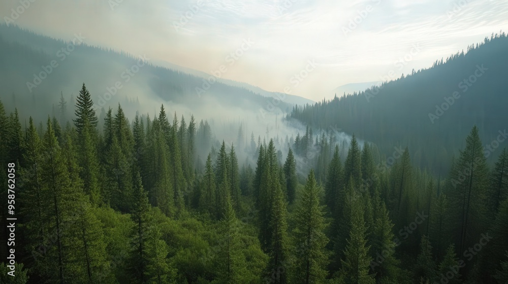 Breathtaking morning fog enveloping a lush green forest, creating a serene and peaceful atmosphere in nature's embrace. Breathtaking morning fog enveloping a lush green forest, creating a serene and peaceful atmosphere in nature's embrace.
