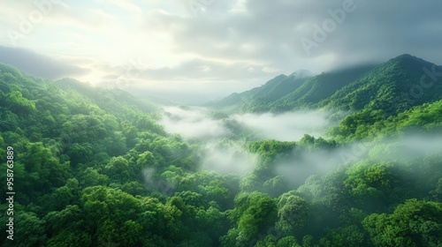 Breathtaking view of lush green forests enveloped in mist, highlighting the beauty of nature and tranquility in the mountains.