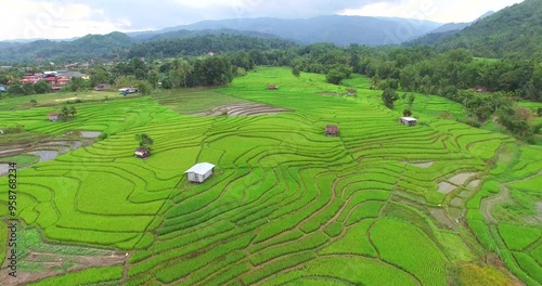 Aerial view of paddy terrace at Tambunan, Sabah. photo