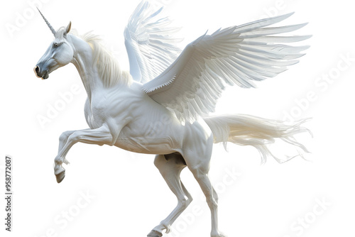 Graceful Pegasus isolated with clear white background in high definition