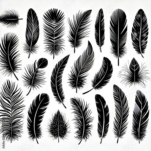 Black and White Feather Silhouettes Set