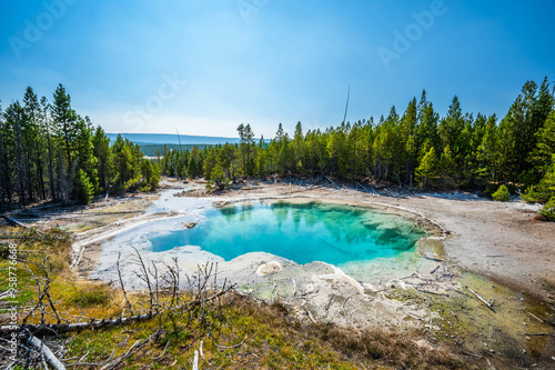 Canvas-taulu Yellowstone National Park Norris Geyser Basin and Fountain Paint Pots while hiki