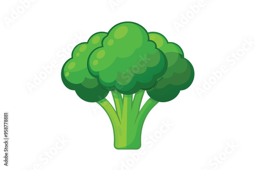 Broccoli vector illustration isolated in white background