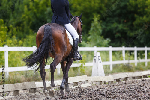 Female rider in formal attire guides a brown horse along a sandy equestrian arena on her dressage test