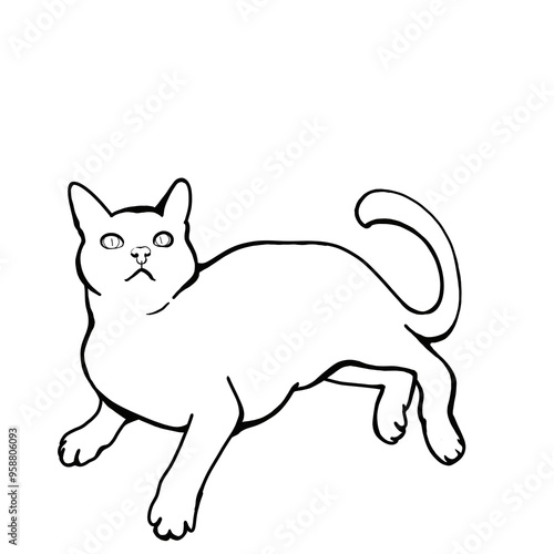 Line art laying cat black and white