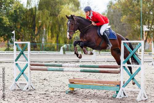 Equestrian athlete jumps over a hurdle on a brown horse during a sunny day at an outdoor riding arena © skumer