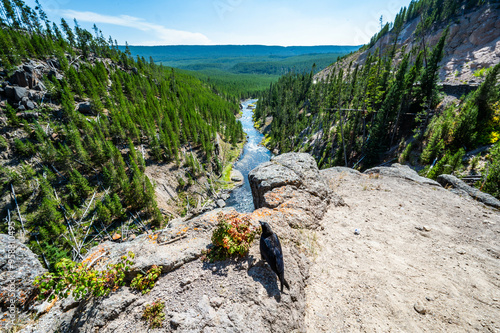 Yellowstone National Park Gibbon Waterfall Overlook in summer of 2024