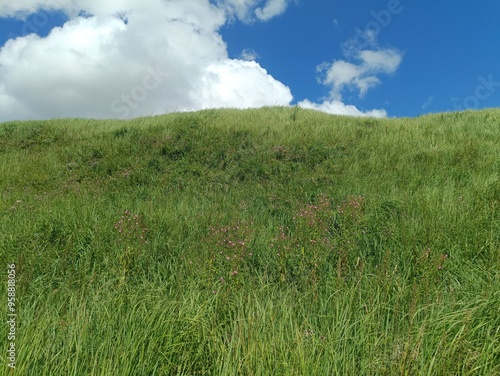 Bubiai hill during sunny day. Small hill. Grass is growing on hill. Staircase leading to the top. Sunny day with white and gray clouds in sky. Nature. Bubiu piliakalnis. photo