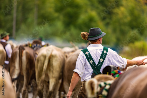 Viehscheid - Allgäu - Almabtrieb - Kühe