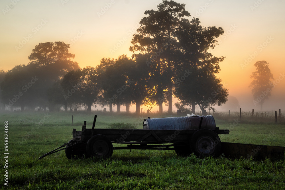 Piękne letnie krajobrazy z Doliny Narwi, Podlasie, Polska
